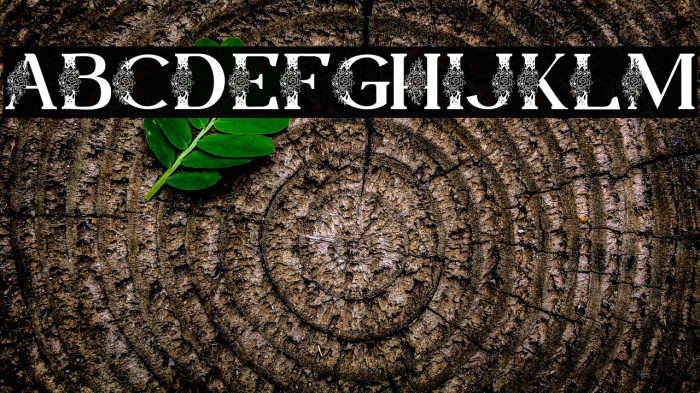 Lamina Personal Use Example 3