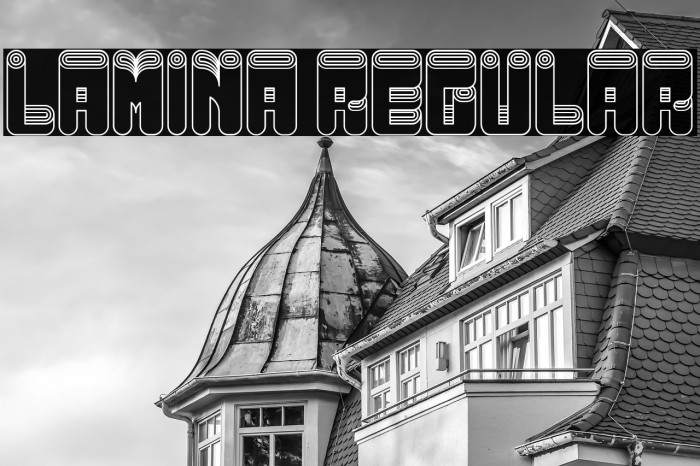 Lamina Regular Example 3