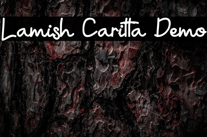 Lamish Caritta Demo Example 1
