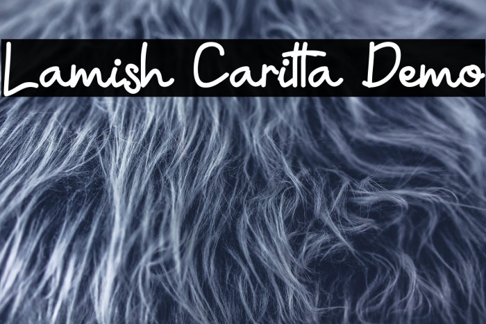 Lamish Caritta Demo Example 2