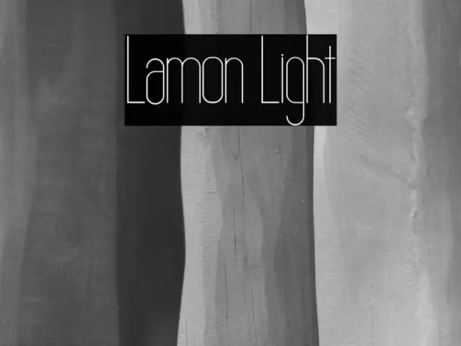Lamon Light Example 1