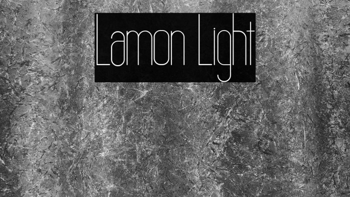 Lamon Light Example 2