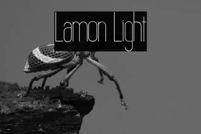 Lamon Light Example 3