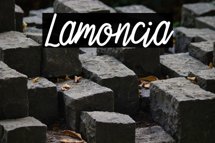 Lamoncia Example 3