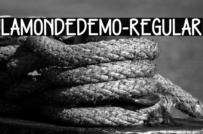 LamondeDEMO-Regular Example 1