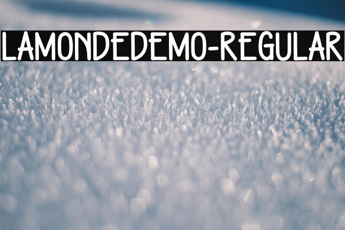 LamondeDEMO-Regular Example 2