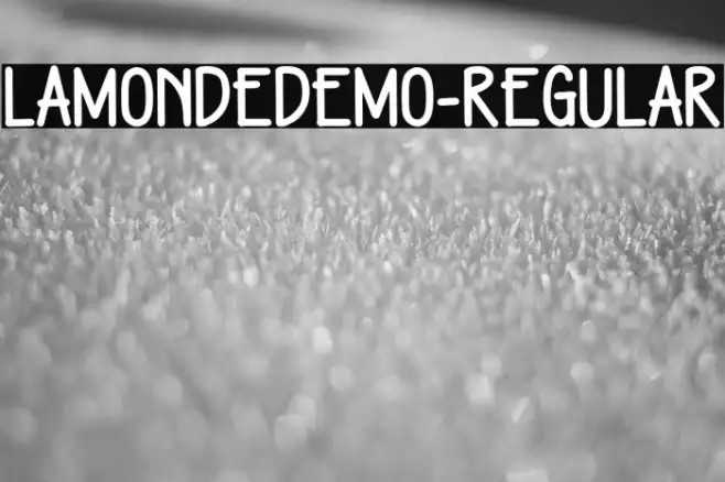 LamondeDEMO-Regular Example 2