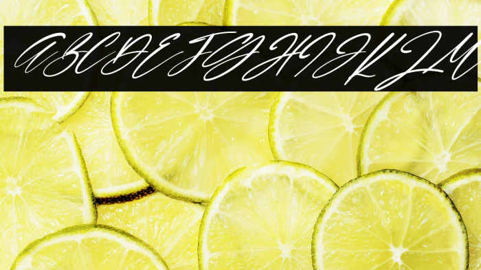 Lamonnisa Italic Example 2