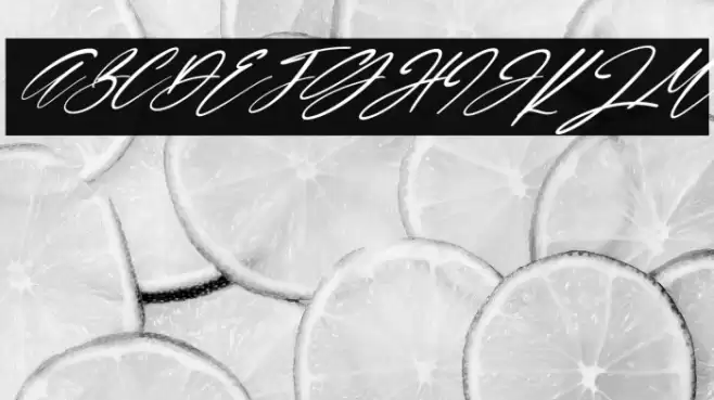 Lamonnisa Italic Font examples