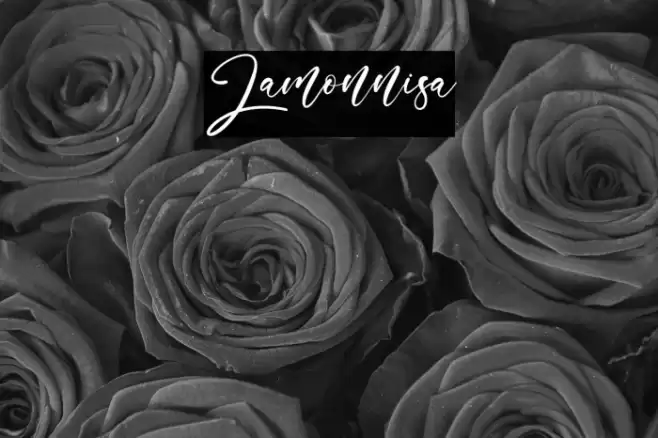 Lamonnisa Font examples