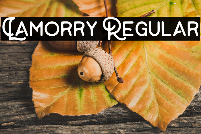 Lamorry Regular Example 1