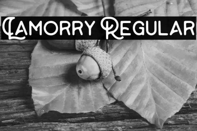 Lamorry Regular Example 1