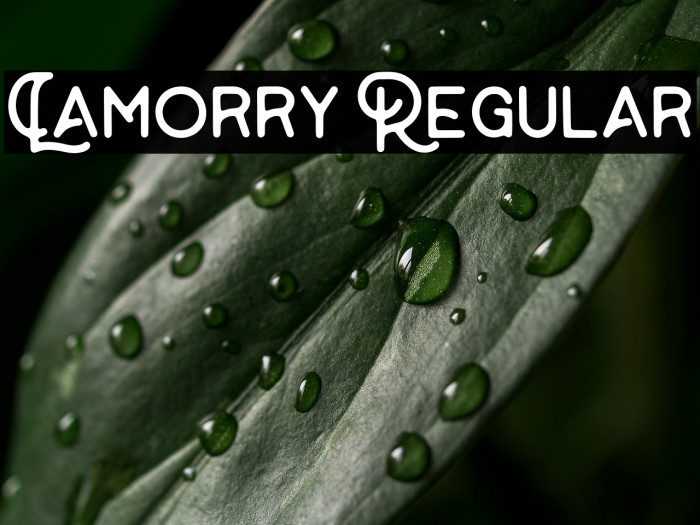 Lamorry Regular Example 3