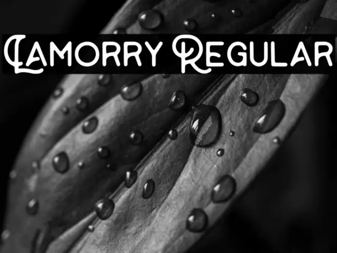 Lamorry Regular Example 3