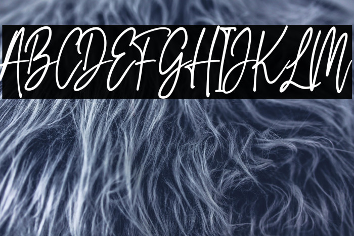 Lampard Signature Example 2