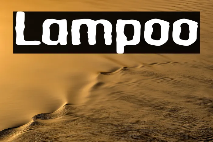 Lampoo Example 1