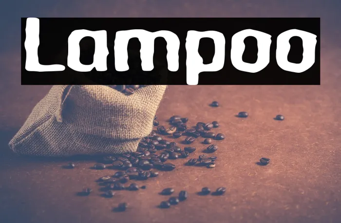 Lampoo Example 2
