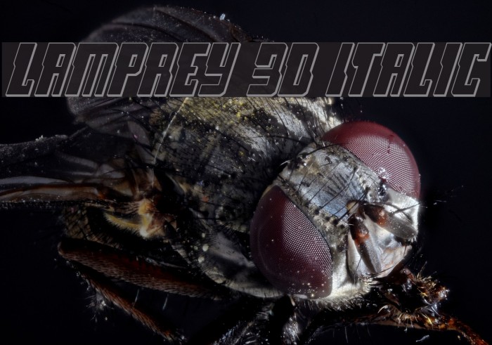 Lamprey 3D Italic Example 1