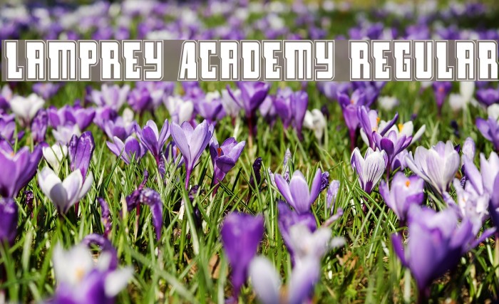 Lamprey Academy Regular Font examples