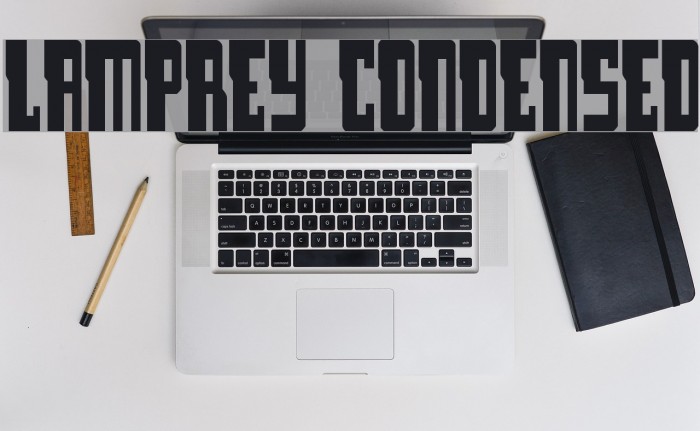 Lamprey Condensed Example 1