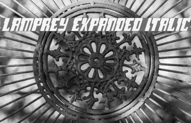 Lamprey Expanded Italic Caratteri examples