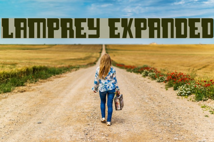 Lamprey Expanded Font examples