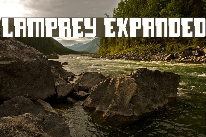 Lamprey Expanded Font examples