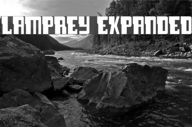 Lamprey Expanded Example 3