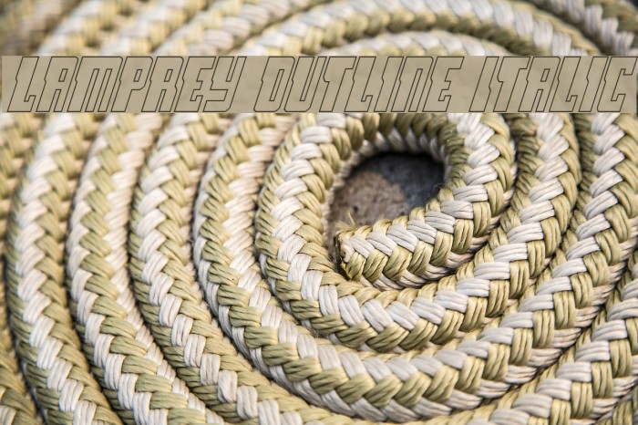 Lamprey Outline Italic Font examples