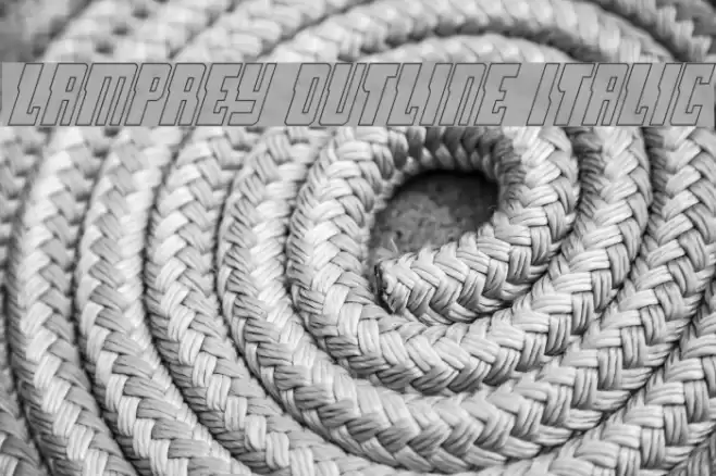 Lamprey Outline Italic examples