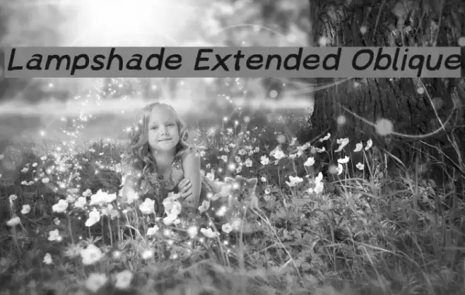 Lampshade Extended Oblique フォント examples
