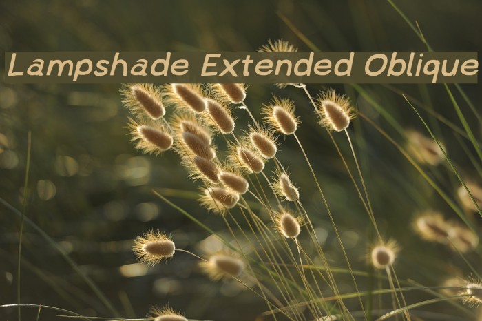 Lampshade Extended Oblique フォント examples