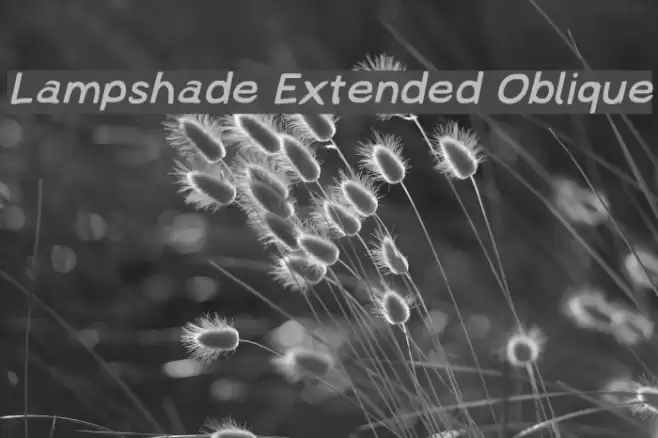 Lampshade Extended Oblique フォント examples