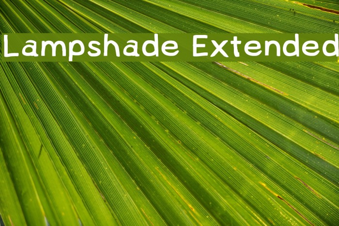 Lampshade Extended Font examples