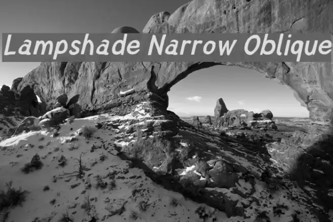 Lampshade Narrow Oblique フォント examples