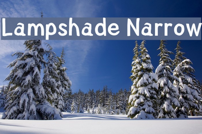 Lampshade Narrow Font examples