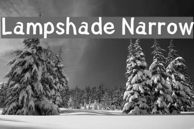 Lampshade Narrow フォント examples