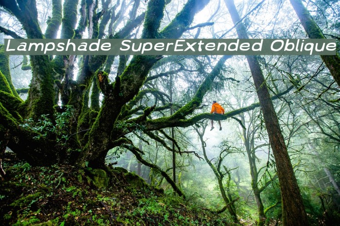 Lampshade SuperExtended Oblique Font examples