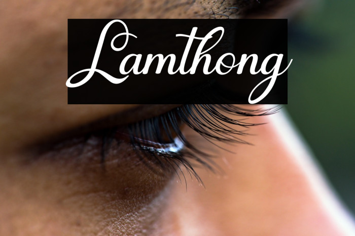 Lamthong Example 1