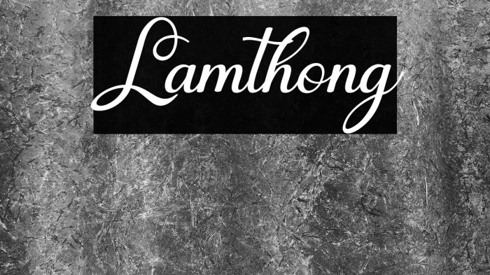 Lamthong Example 3