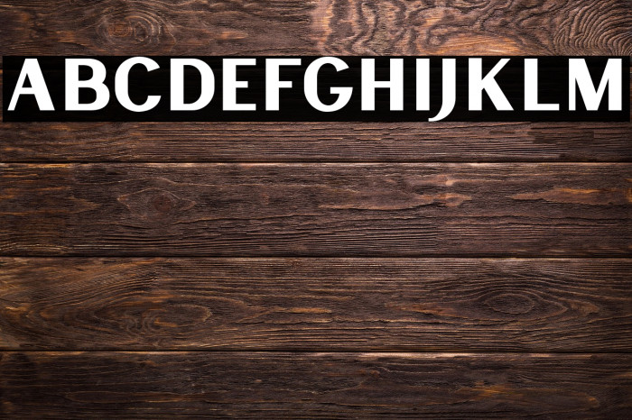 LancasteSansDemo Example 3