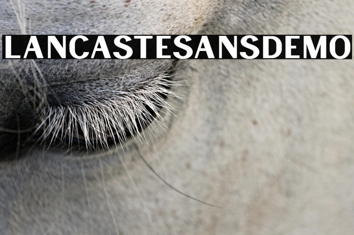 LancasteSansDemo Example 3