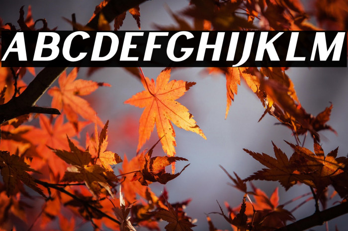 LancasteSansSlantDemo Example 1