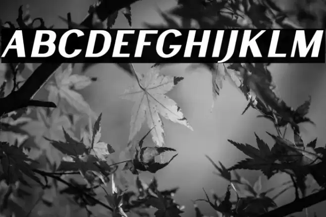 LancasteSansSlantDemo Font examples