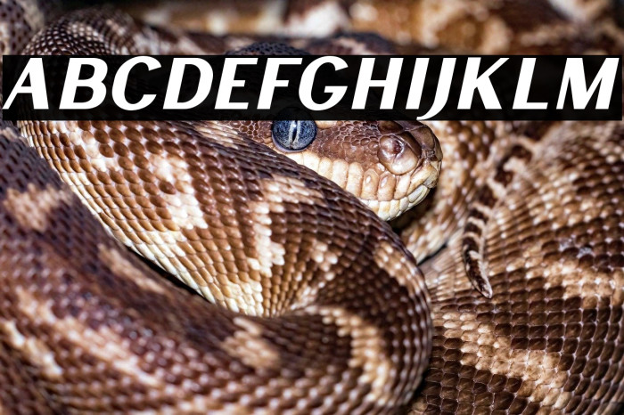 LancasteSansSlantDemo Example 2