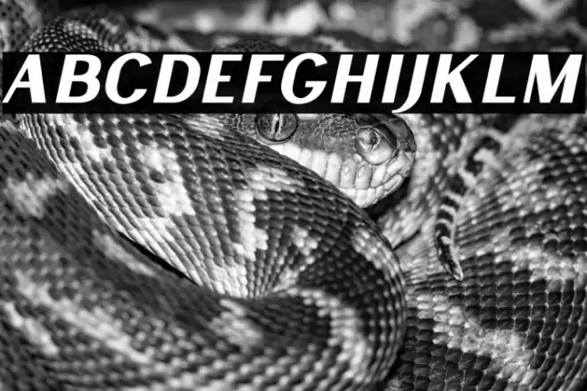 LancasteSansSlantDemo Font examples