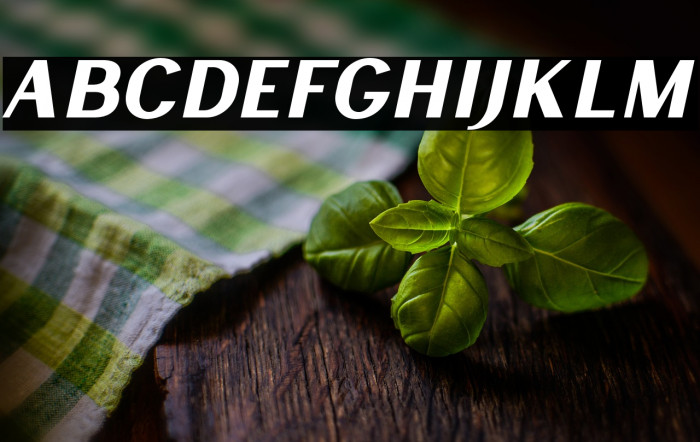 LancasteSansSlantDemo Example 3