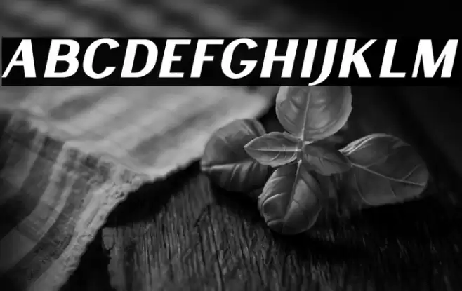 LancasteSansSlantDemo Font examples