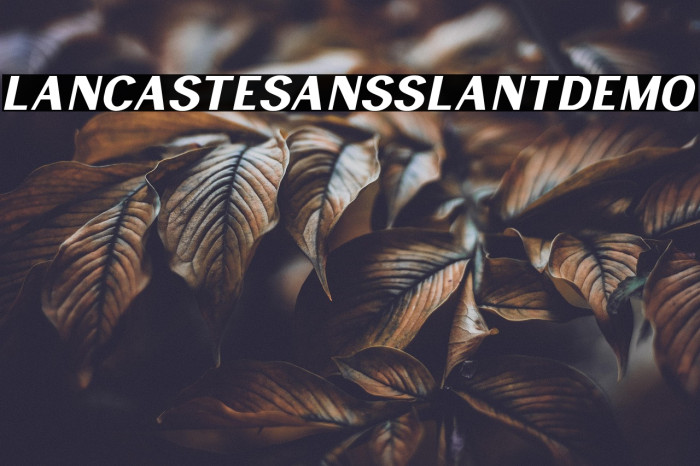 LancasteSansSlantDemo Example 3
