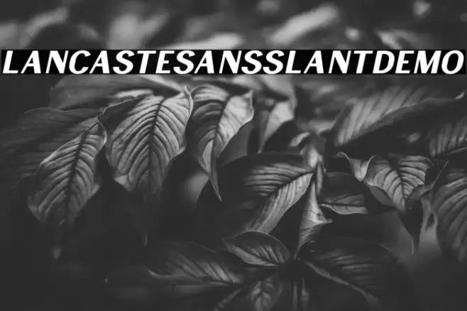 LancasteSansSlantDemo Font examples